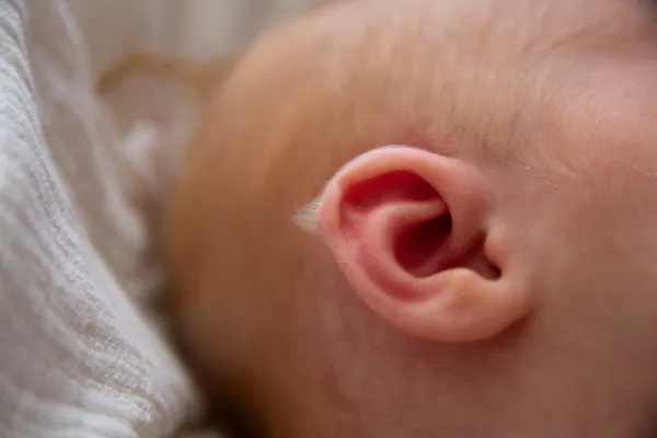 Newborn baby lanugo first pubic hair