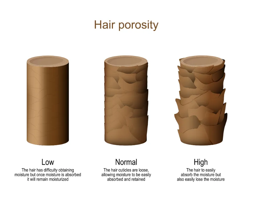 hair porosity